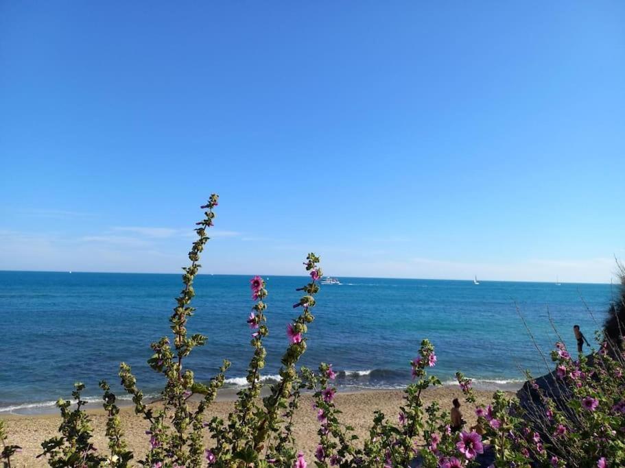 Studio Port Du Cap D'Agde Exterior foto